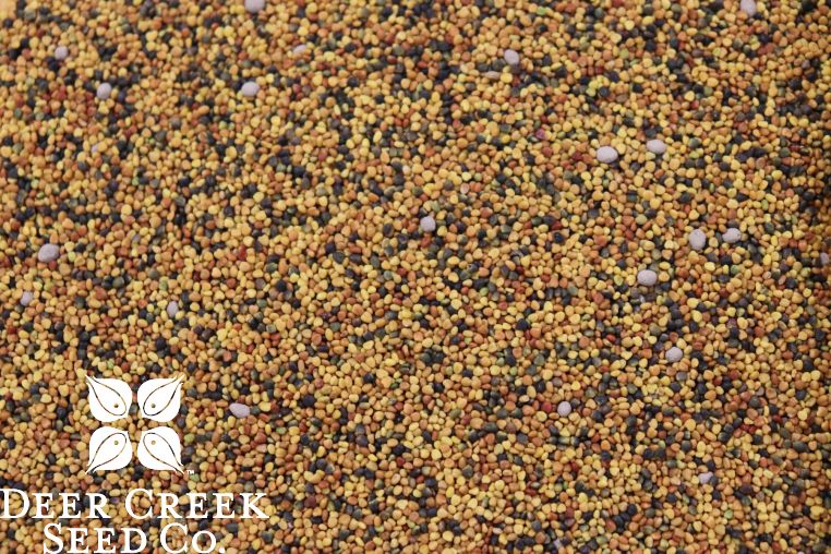 Perennial Clover Blends