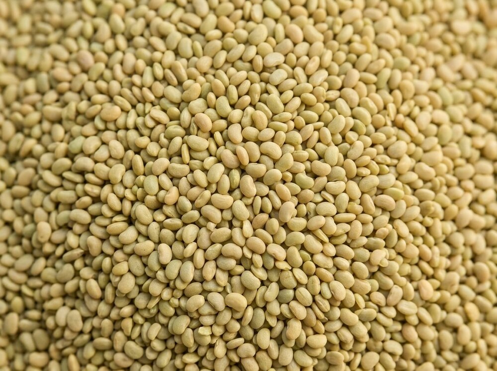 Perennial Clover Blends